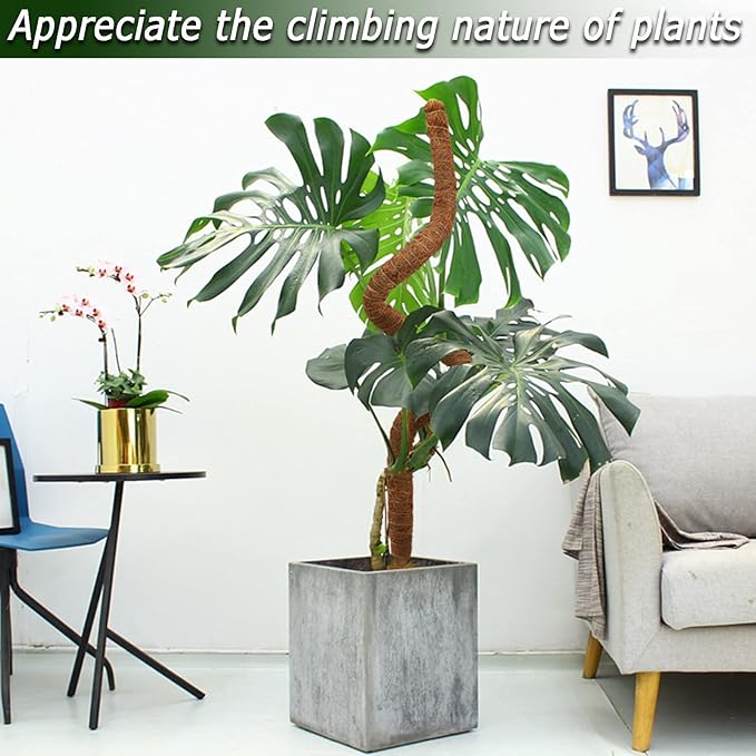 Moss Pole for Plants Monstera, 59 Inch Tall Bendable Moss Poles for Climbing - Image 7