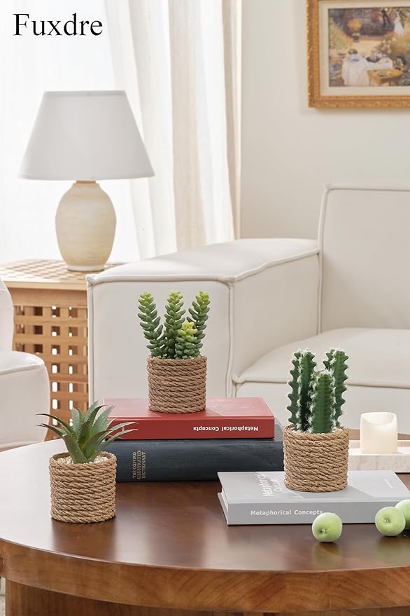 3-Pack Artificial Succulent Plants in Vintage Plastic Pots - Image 3