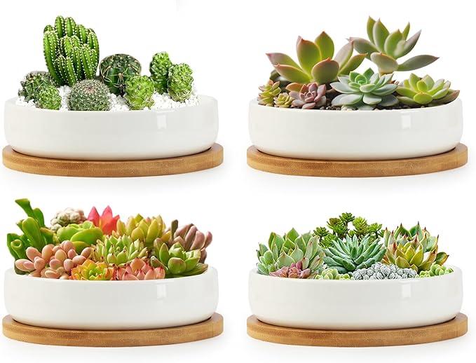 ZOUTOG Succulent Pots, 6 Inch Succulent Planters by ZOUTOG