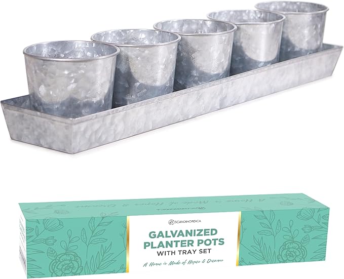 SCANDINORDICA Galvanized Metal Herb Planter, 5 Pots by SCANDINORDICA