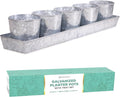 SCANDINORDICA Galvanized Metal Herb Planter, 5 Pots by SCANDINORDICA