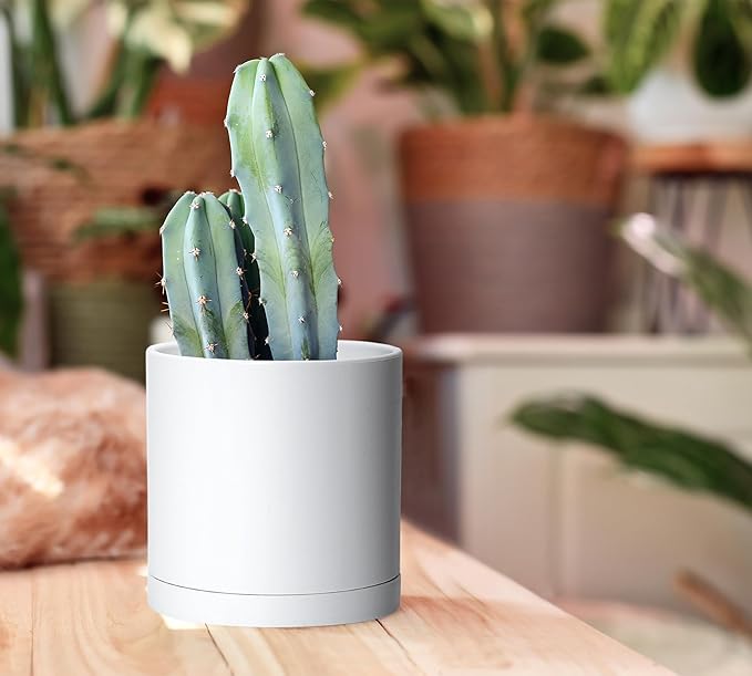 D'vine Dev 4 Pack 5.5 Inch Modern Plastic Plant Pots, Small Garden Planters - Image 6