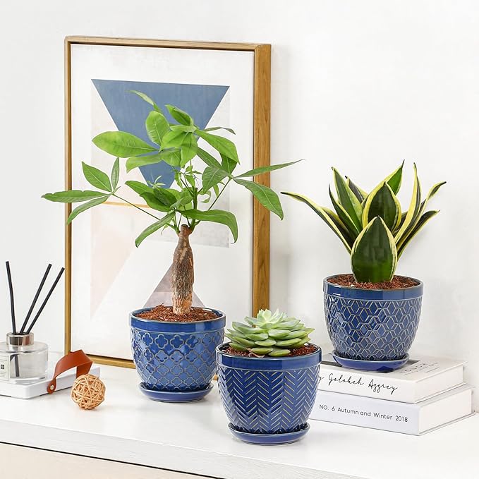 Sureasy Ceramic Indoor Plant Pots - Image 6