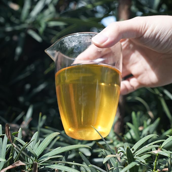 iTeaworld Chinese Flower Tea Sampler - Image 7