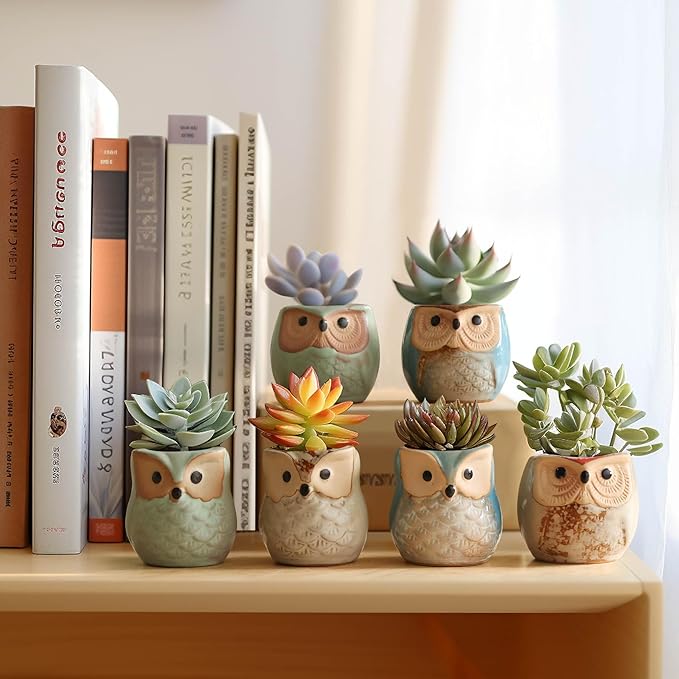 T4U 2.5 Inch Owl Ceramic Succulent Planter Pots - Image 4