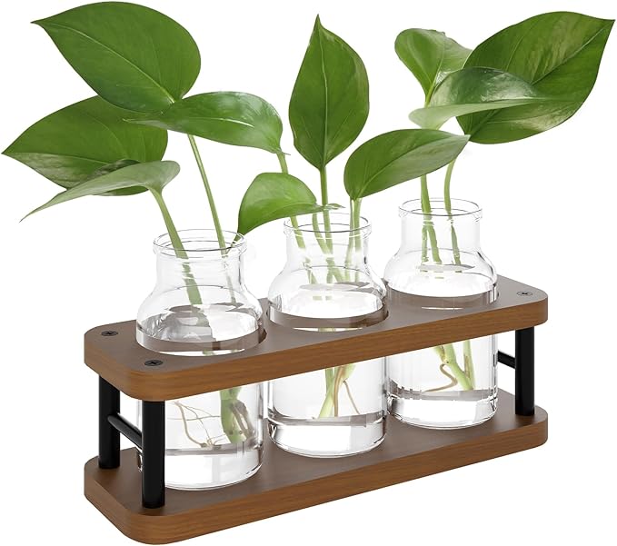 THYGIFTREE Plant Propagation Station - Image 7