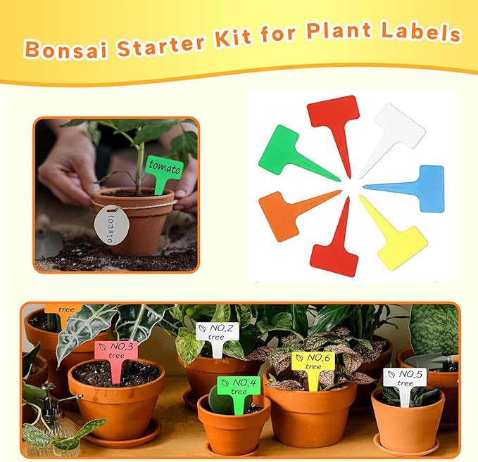 Bonsai Tools Set for Beginners, Bonsai Tree Kit - Image 6