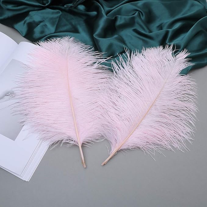 Ballinger Light Pink Ostrich Feathers - Image 4