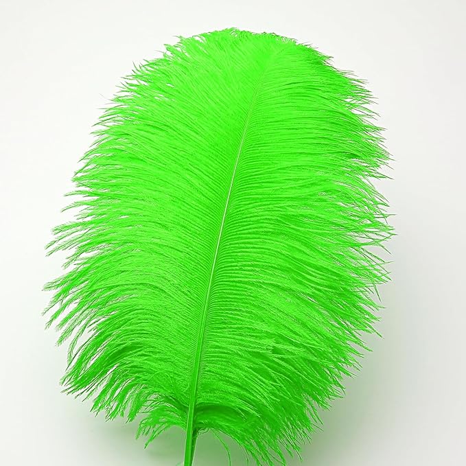 Ballinger Lime Green Ostrich Feathers - Image 2