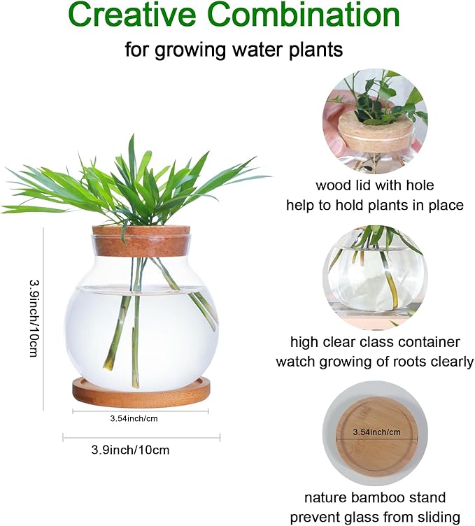 Tabletop Plant Propagation Station, Aquatic Plant Culture Glass Mini vase - Image 2