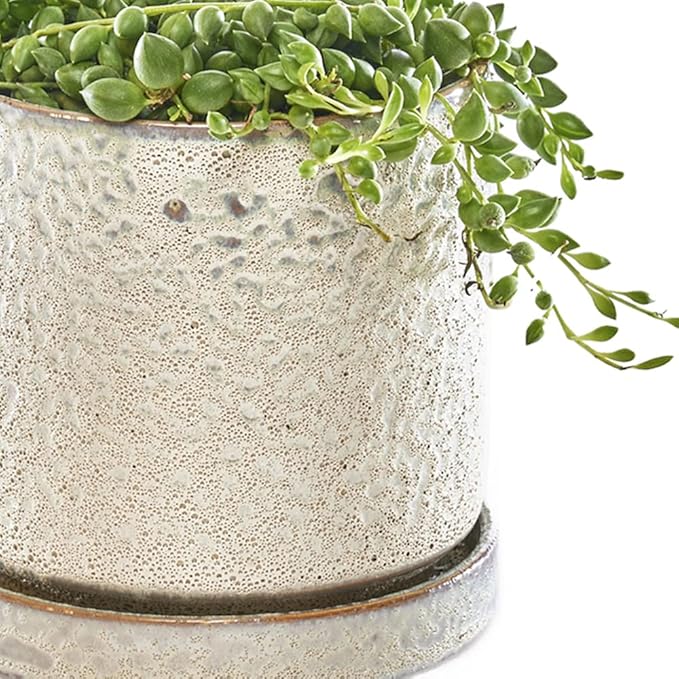 CHIVE ‘Minute’ Ceramic Planter Pot — Cute 5” Colorful Succulent Pots - Image 2