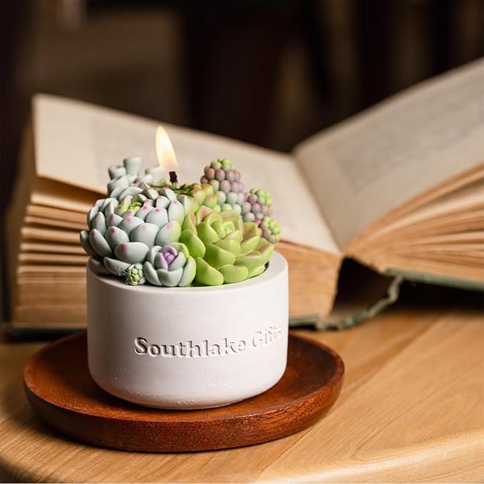 Assorted Succulent Pot Scented Candle - Image 3