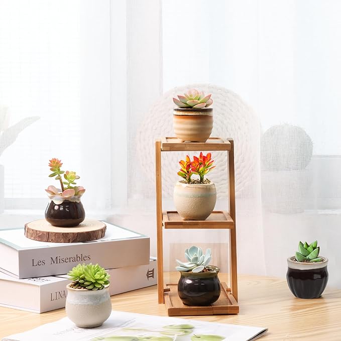 T4U Mini Ceramic Succulent Pots - Image 9