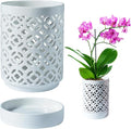 Orchid Pot 4 Inch, Orchid Pots by Unknown