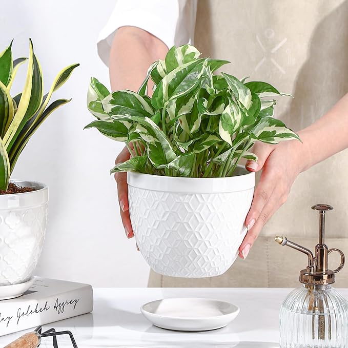Sureasy Ceramic Indoor Plant Pots - Image 2