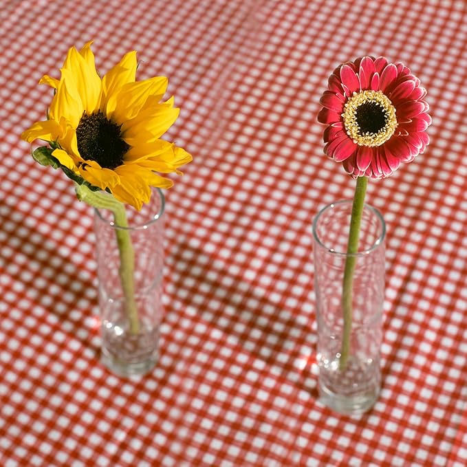 12 Pack 7 Inch Glass Cylinder Bud Vases - Image 5