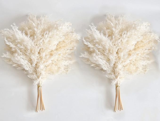 White Pampas Grass for Home Decor - Image 2