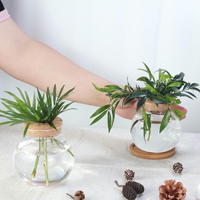 Tabletop Plant Propagation Station, Aquatic Plant Culture Glass Mini vase - Image 4