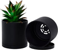 D'vine Dev 2 Pack 4 Inch Modern Plastic Plant Pots, Small Garden Planters by DvineDevPlanterPotsandStand