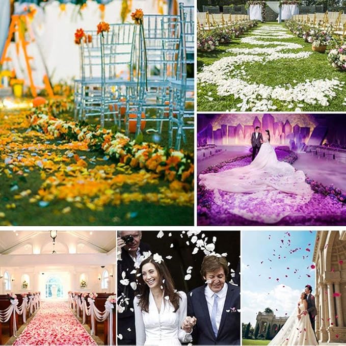 ocharzy 1000pcs Rose Petals Artificial Silk Flower Rose Petals - Image 4