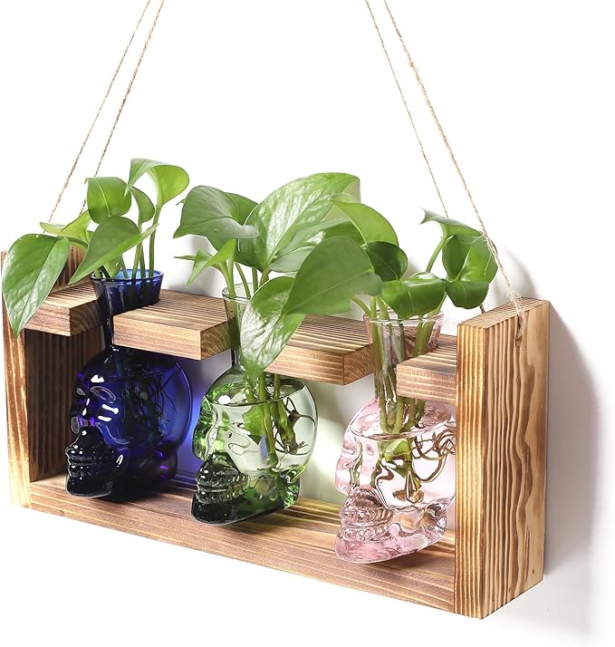 Plant Terrarium Propagation Stations Hydroponics Halloween Skull Planter Vase by Unknown