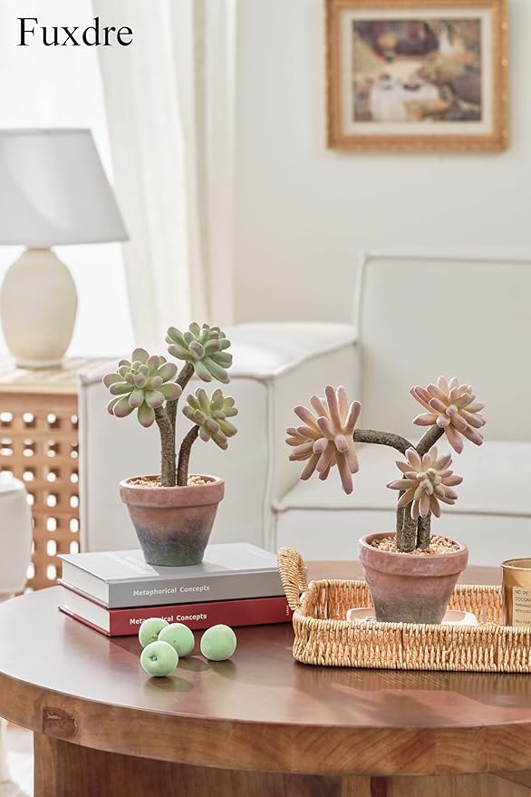 2-Pack Artificial Succulent Plants in Vintage Plastic Pots - Image 3