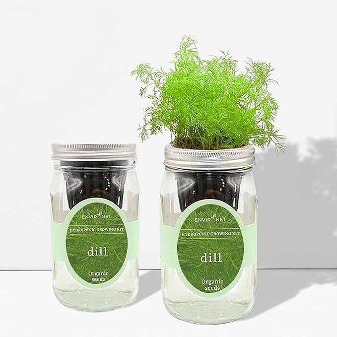 Hydroponic Herb Growing Kit, Self-Watering Mason Jar Herb Garden Starter Kit - Image 4