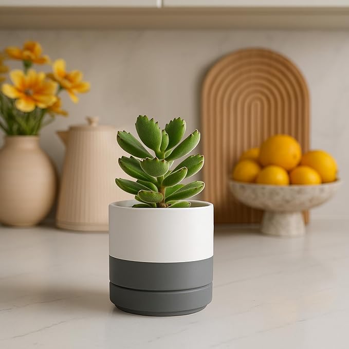 D'vine Dev Set of 4 Small Ceramic Plant Pots, 4.7 Inch Succulent Planter Pot - Image 2