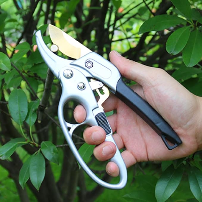 Ultra Sharp Germany Titanium Steel Pruning Shears - Image 6