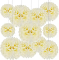 Tissue Paper Pom Poms, Ivory Tissue Paper Flowers, Hanging Flower Balls by Tisspoms