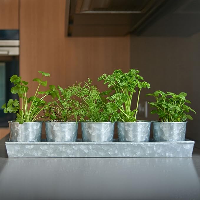 SCANDINORDICA Galvanized Metal Herb Planter, 5 Pots - Image 8