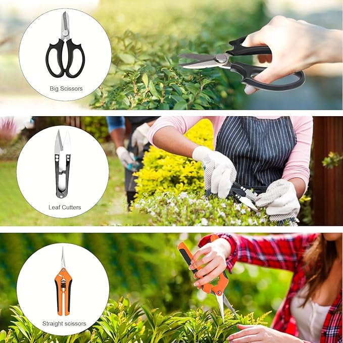 Bonsai Tools Set for Beginners, Bonsai Tree Kit - Image 7