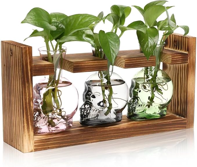 Plant Terrarium Propagation Stations Hydroponics Halloween Skull Planter Vase by Unknown