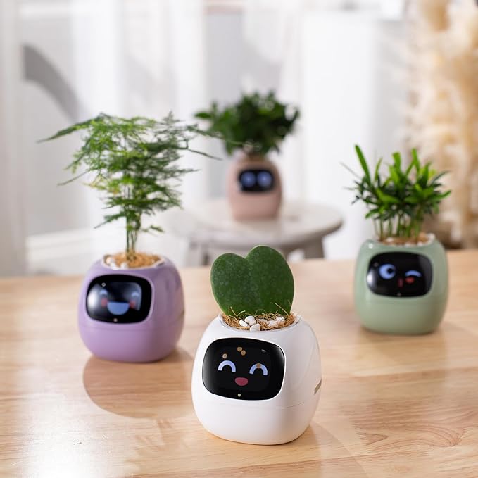 Smart pet Planter Robot Guidance on Plant Care - Image 6