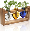 Plant Terrarium Propagation Stations Hydroponics Home Garden Decoration Gift by Unknown