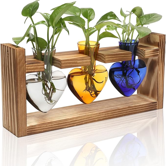 Plant Terrarium Propagation Stations Hydroponics Home Garden Decoration Gift by Unknown