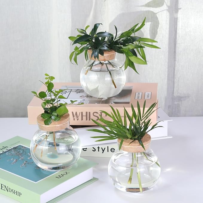 Tabletop Plant Propagation Station, Aquatic Plant Culture Glass Mini vase - Image 3