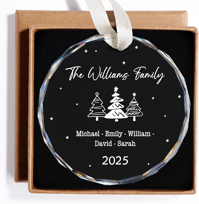 Family Christmas Ornaments 2025 Personalized, Family Ornaments by HooAMI
