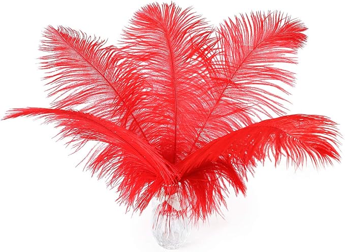 24pcs Natural Bright Red Ostrich Feathers 10-12inch by Ballinger