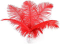 Ballinger Red Ostrich Feathers Bulk by Ballinger