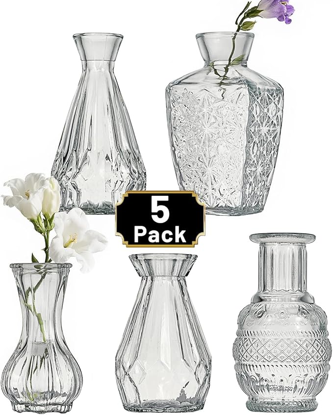 Glass Bud Vase Set of 5 Pcs Small Minimalist Vases by Tahnach