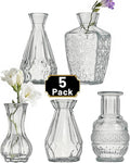 Glass Bud Vase Set of 5 Pcs Small Minimalist Vases by Tahnach