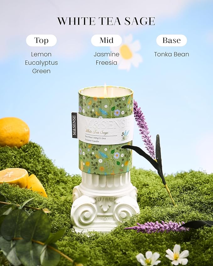 M&SENSE White Tea Sage Scented Candle, Medium Jar Candle 11.3oz Natural Soy Wax - Image 2