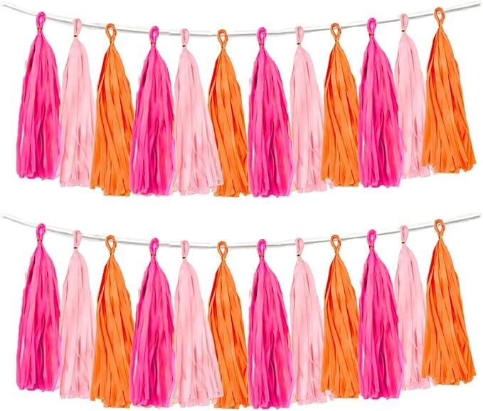 Rose red Pink and Orange Tassel Garland Banner Paper Tassels by Aimto