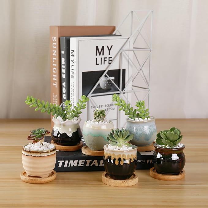 T4U Mini Ceramic Succulent Pots - Image 6