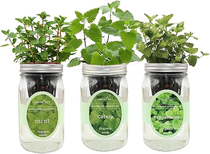 Hydroponic Herb Growing Kit Set, Self-Watering Mason Jar Herb Garden Starter by Environet