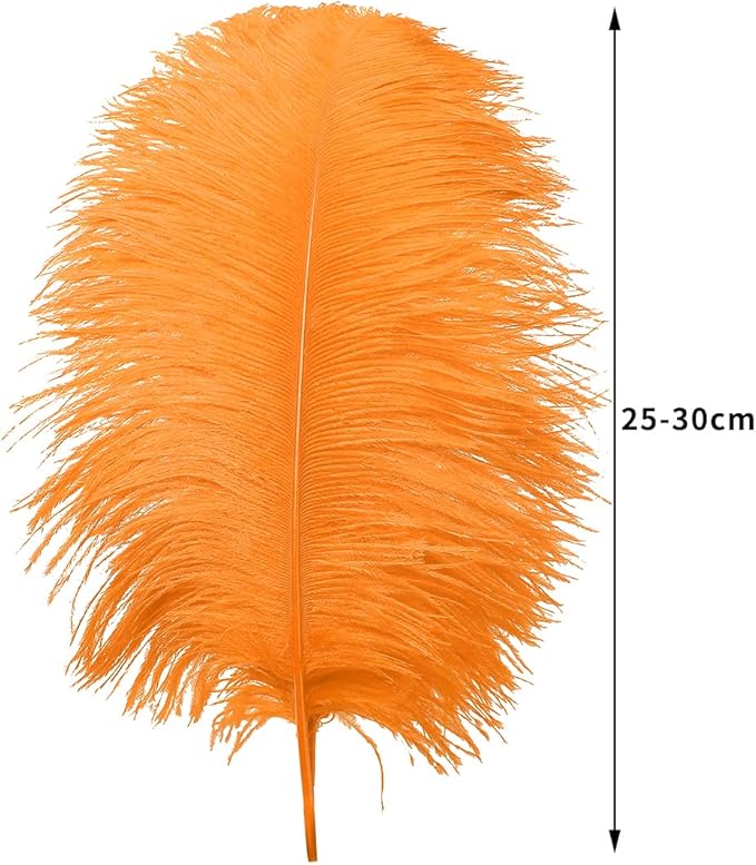 Ballinger Orange Large Ostrich Feathers - Image 3