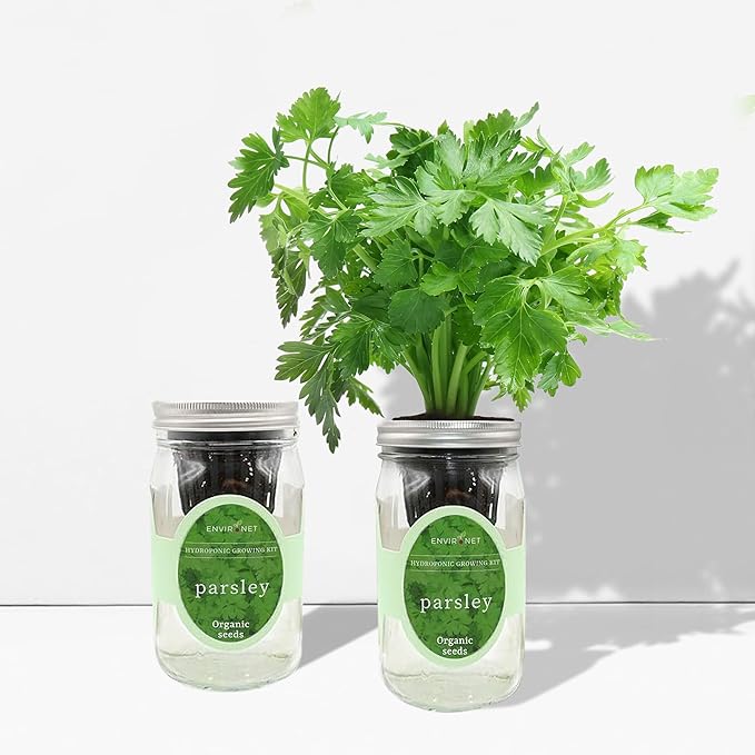 Hydroponic Herb Growing Kit, Self-Watering Mason Jar Herb Garden Starter Kit - Image 4