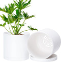 D'vine Dev 2 Pack 6 Inch Modern Plastic Plant Pots, Small Garden Planters by DvineDevPlanterPotsandStand