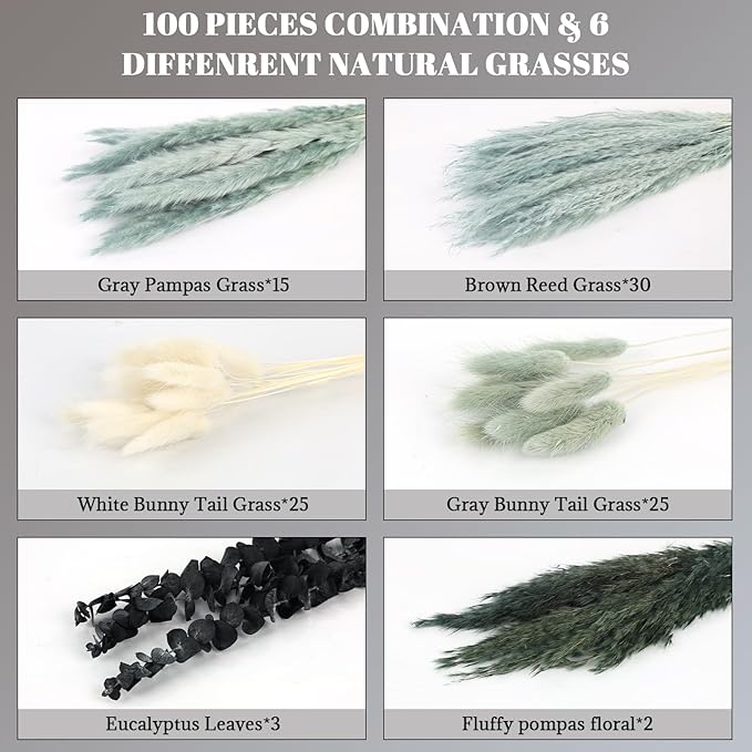 N&T NETING 100Pcs Grey Pampas Grass Decor Natural Dried - Image 6